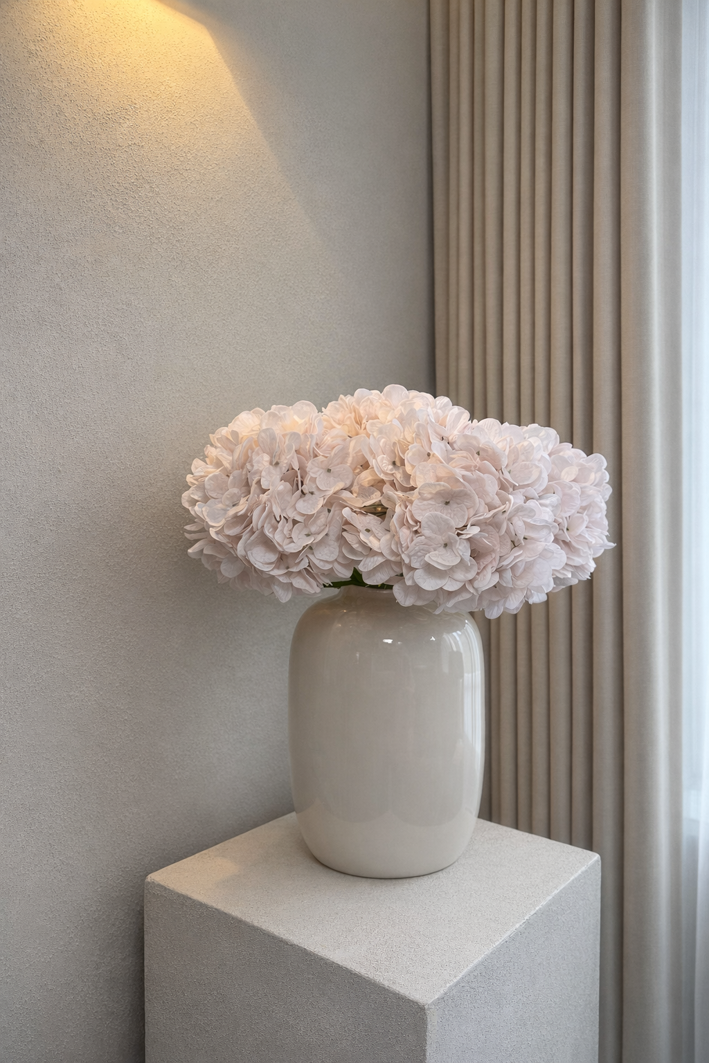 Blush Hortensia’s