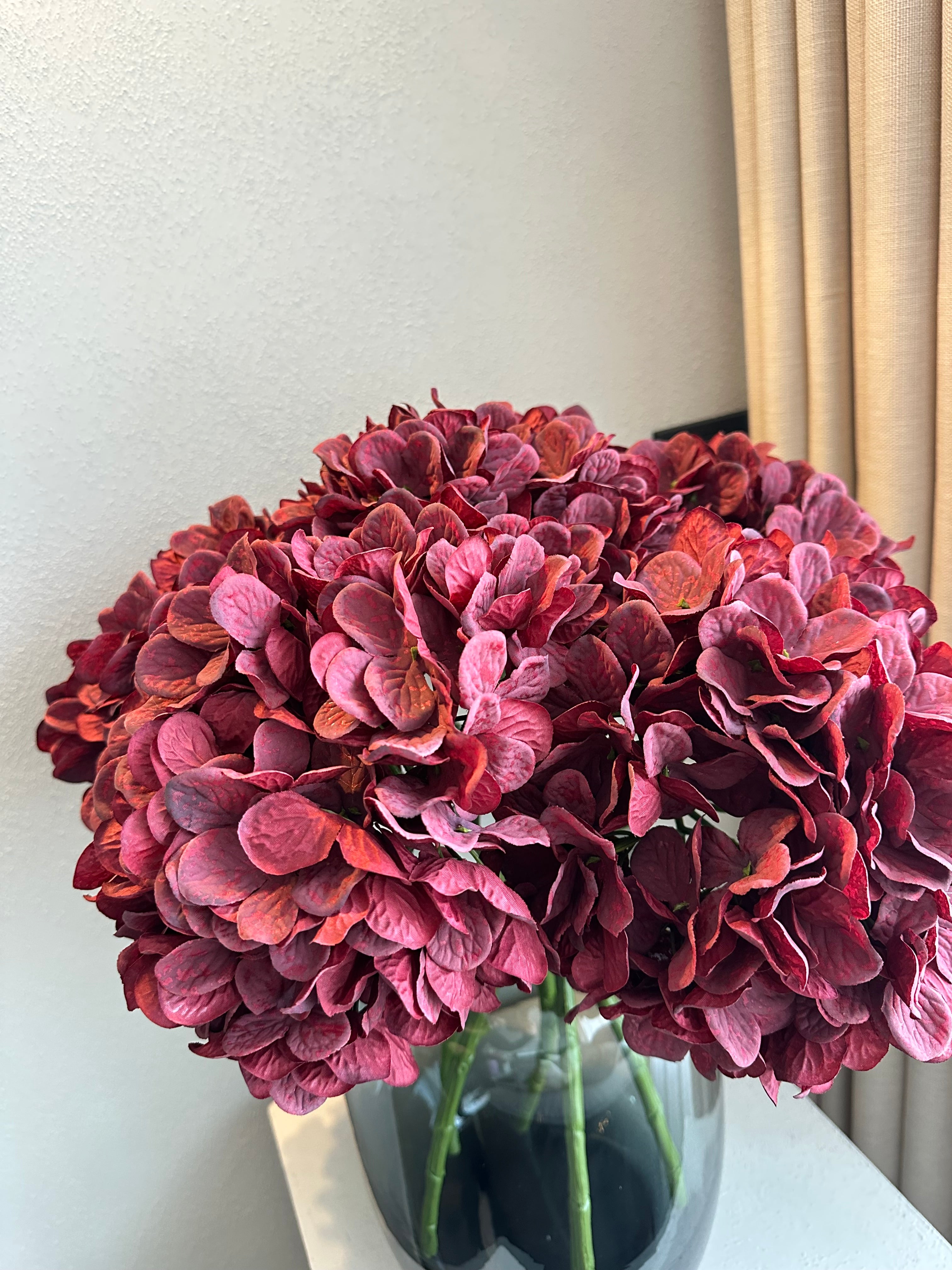 Bordeaux Hortensia’s