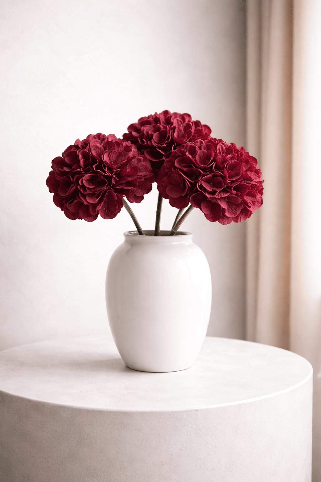 Bordeaux Hortensia’s