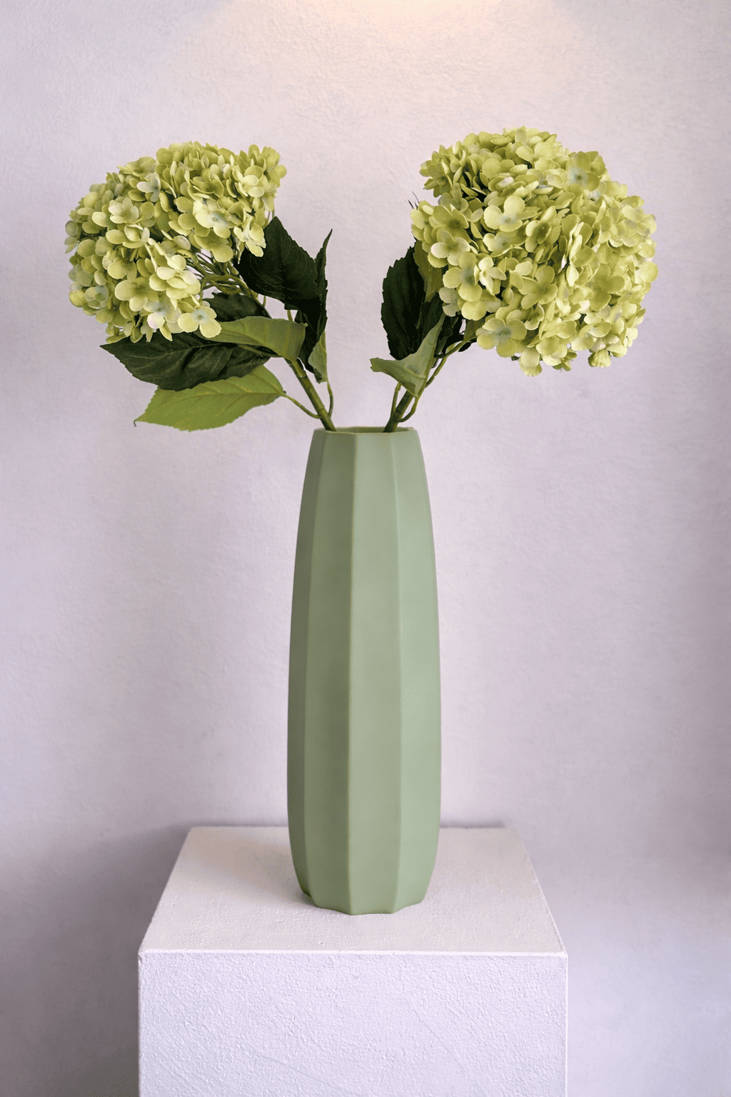 Groene Hortensia XL Tak