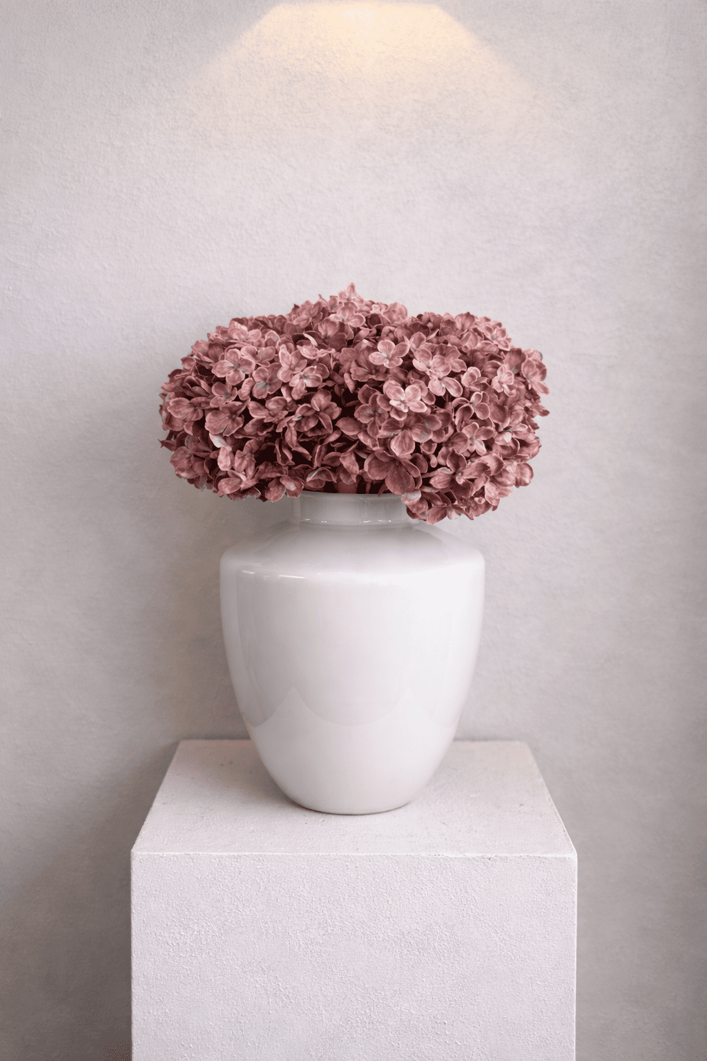 Dusty Pink Hortensia’s