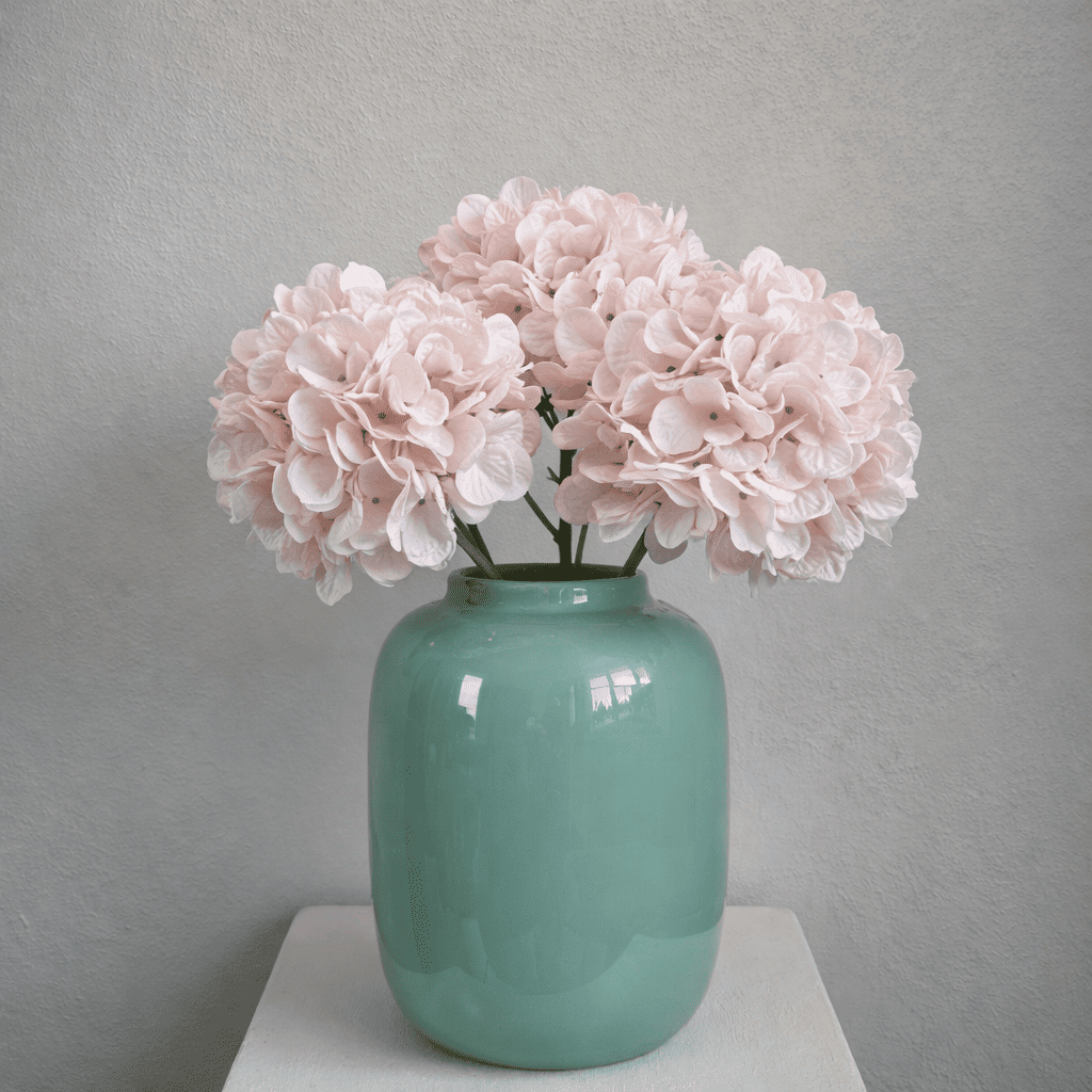 Blush Hortensia’s