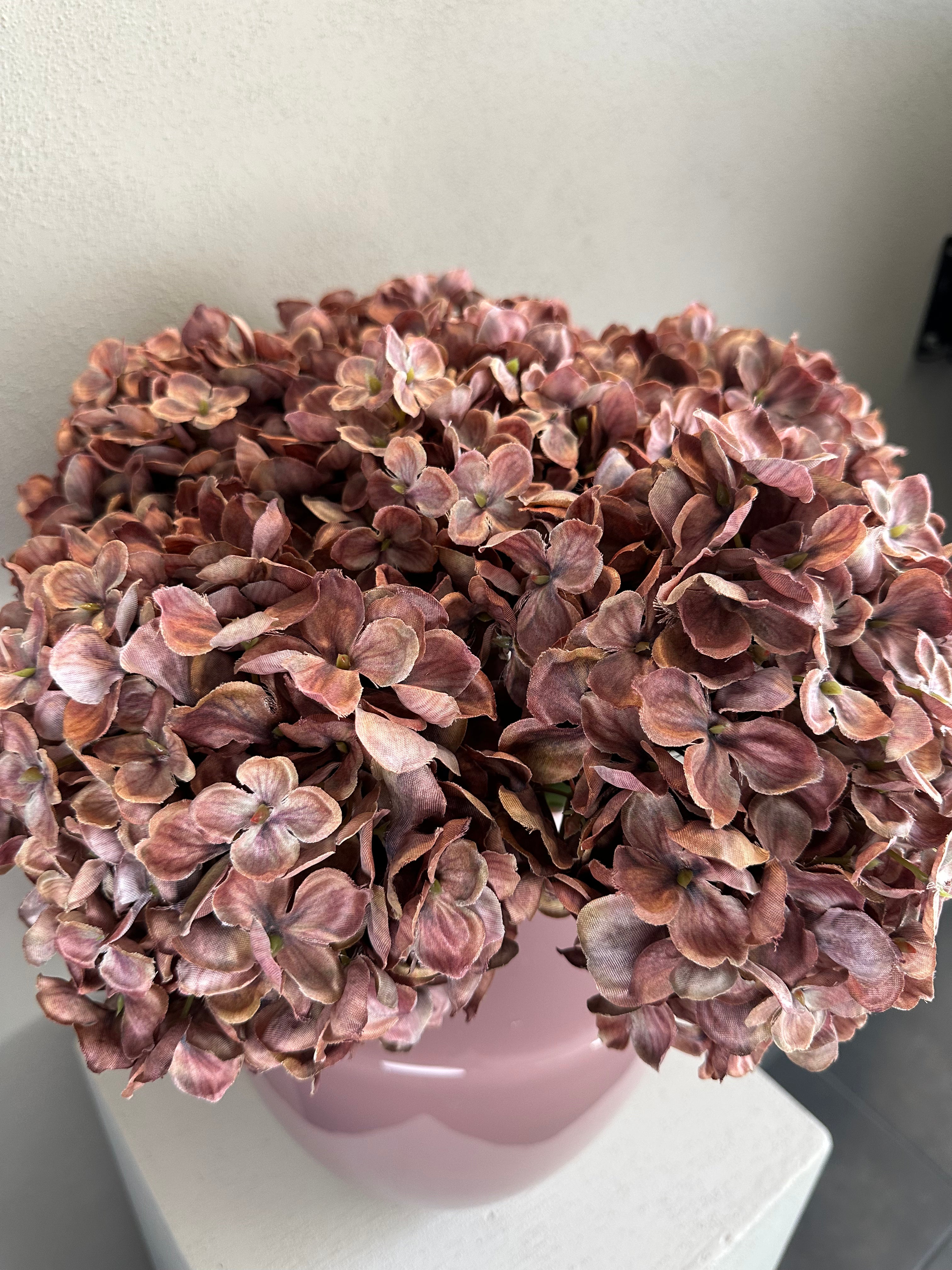 Dusty Pink Hortensia’s
