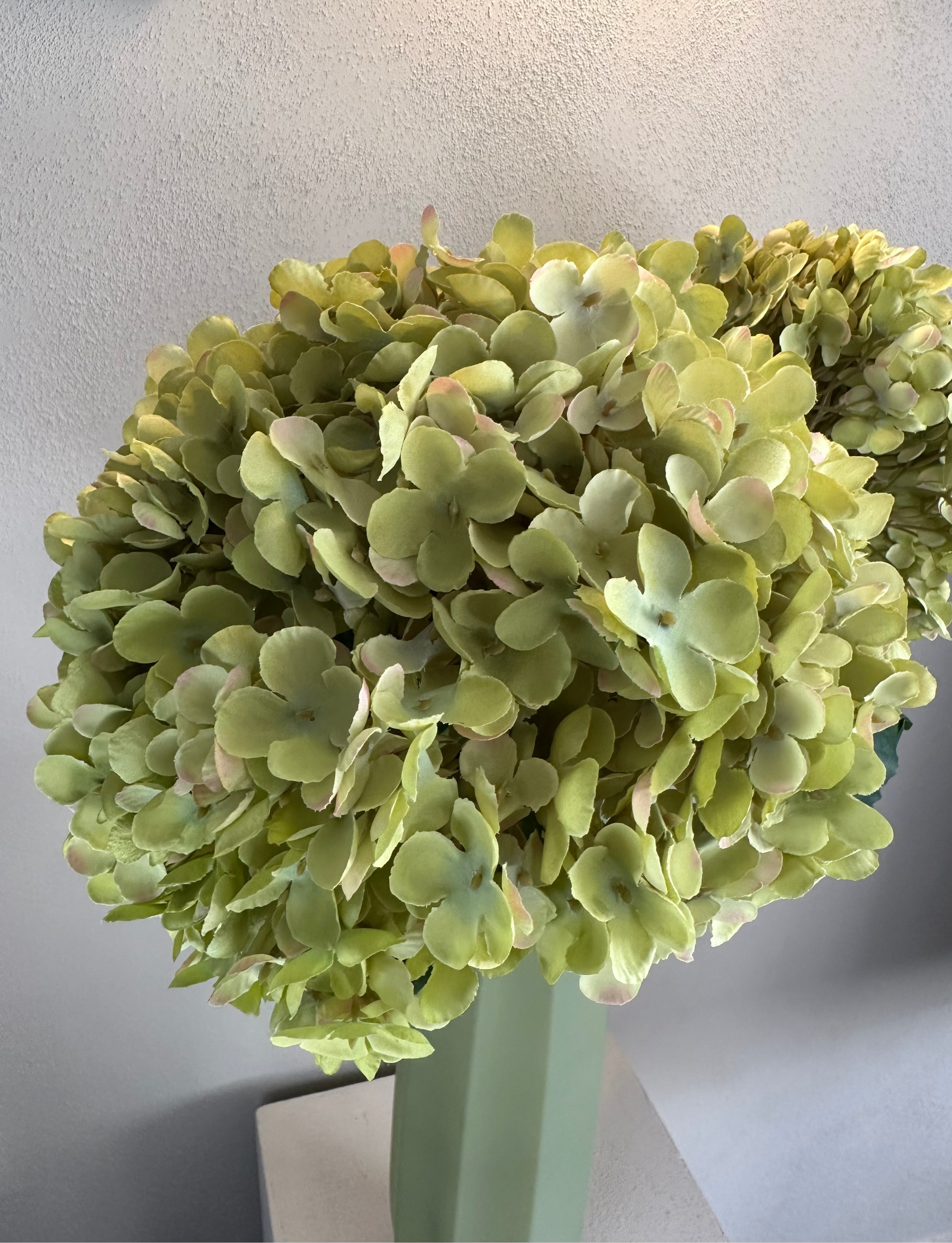 Groene Hortensia XL Tak