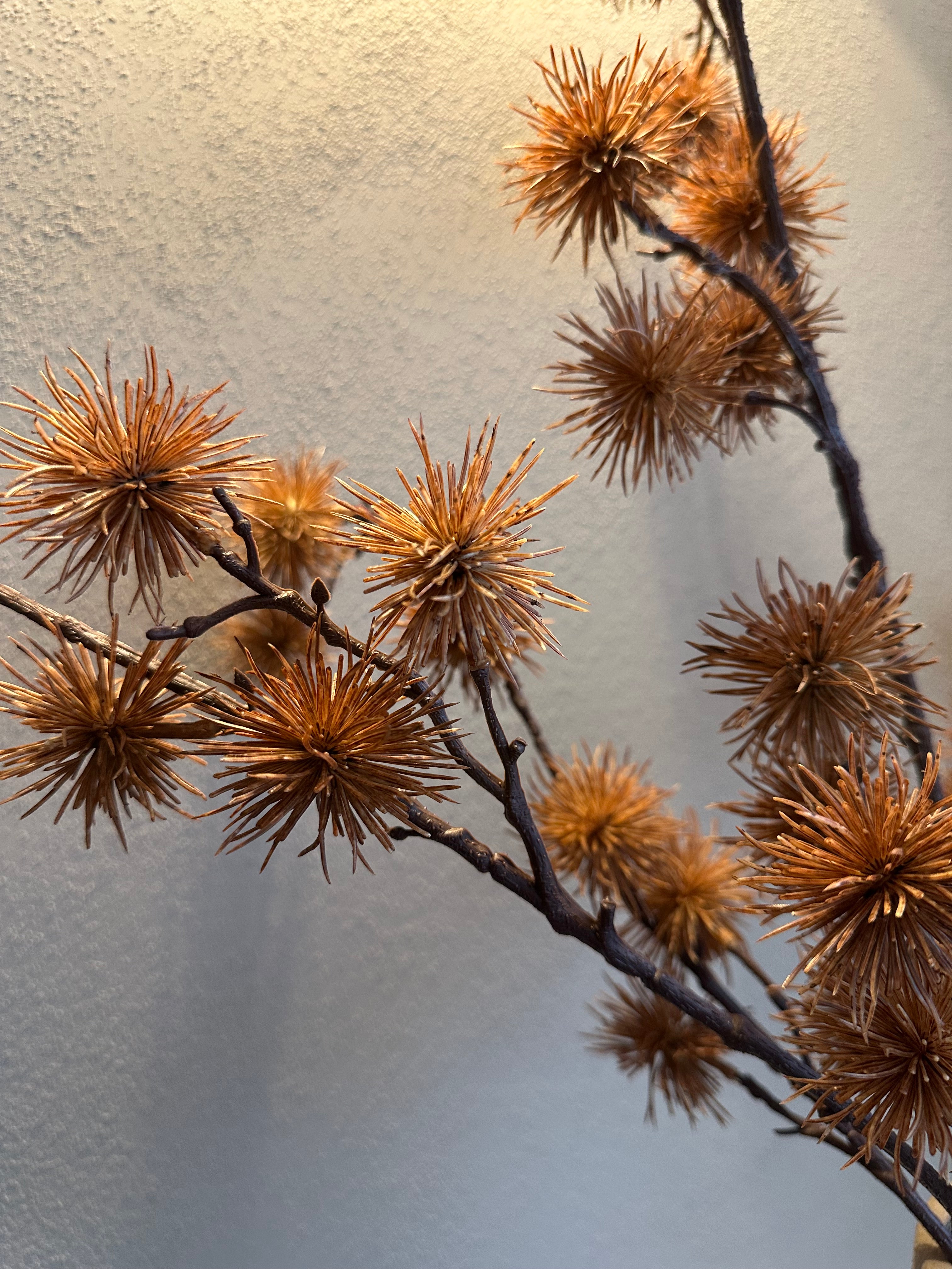 Bruine pompom tak