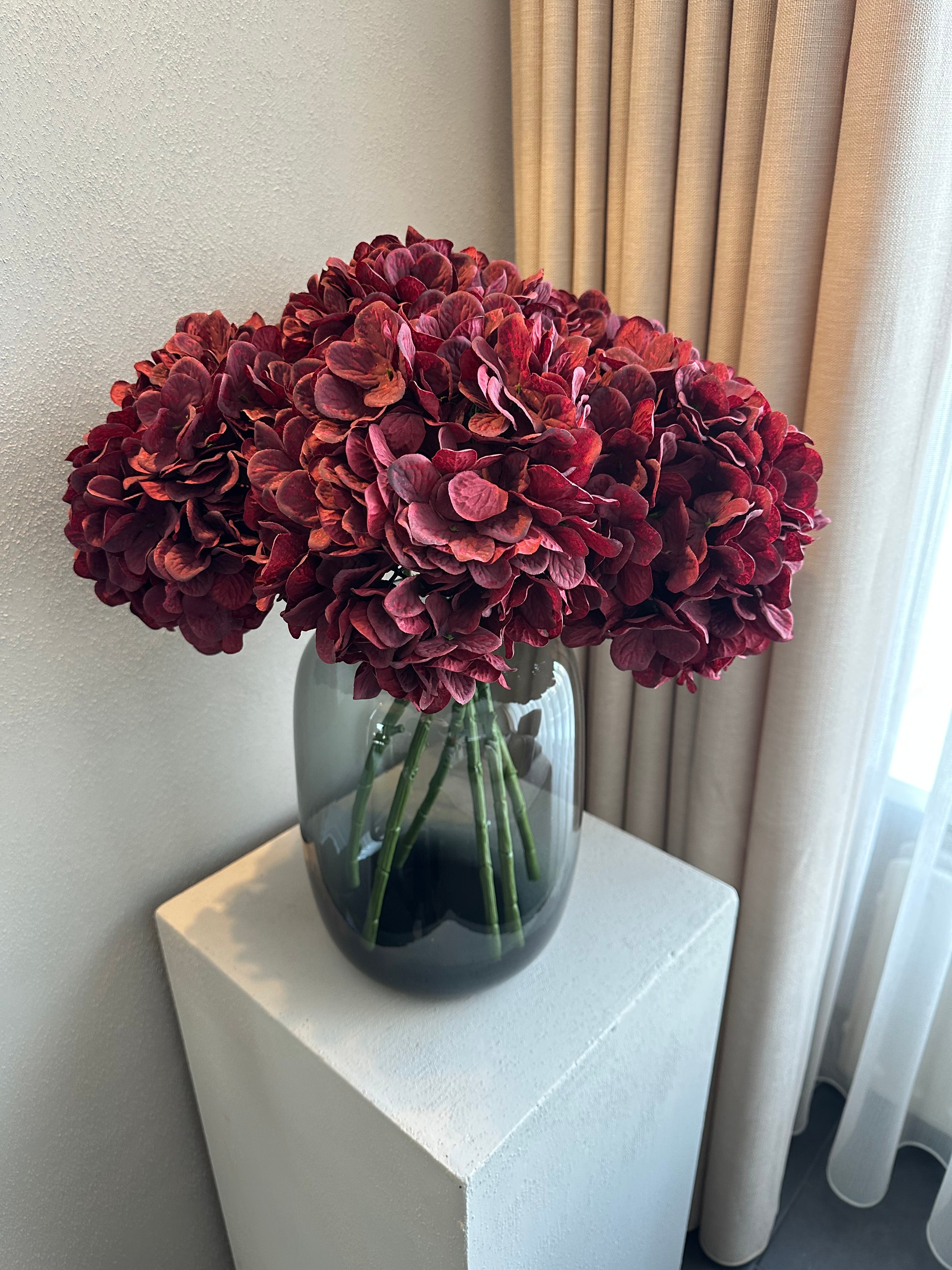 Bordeaux Hortensia’s