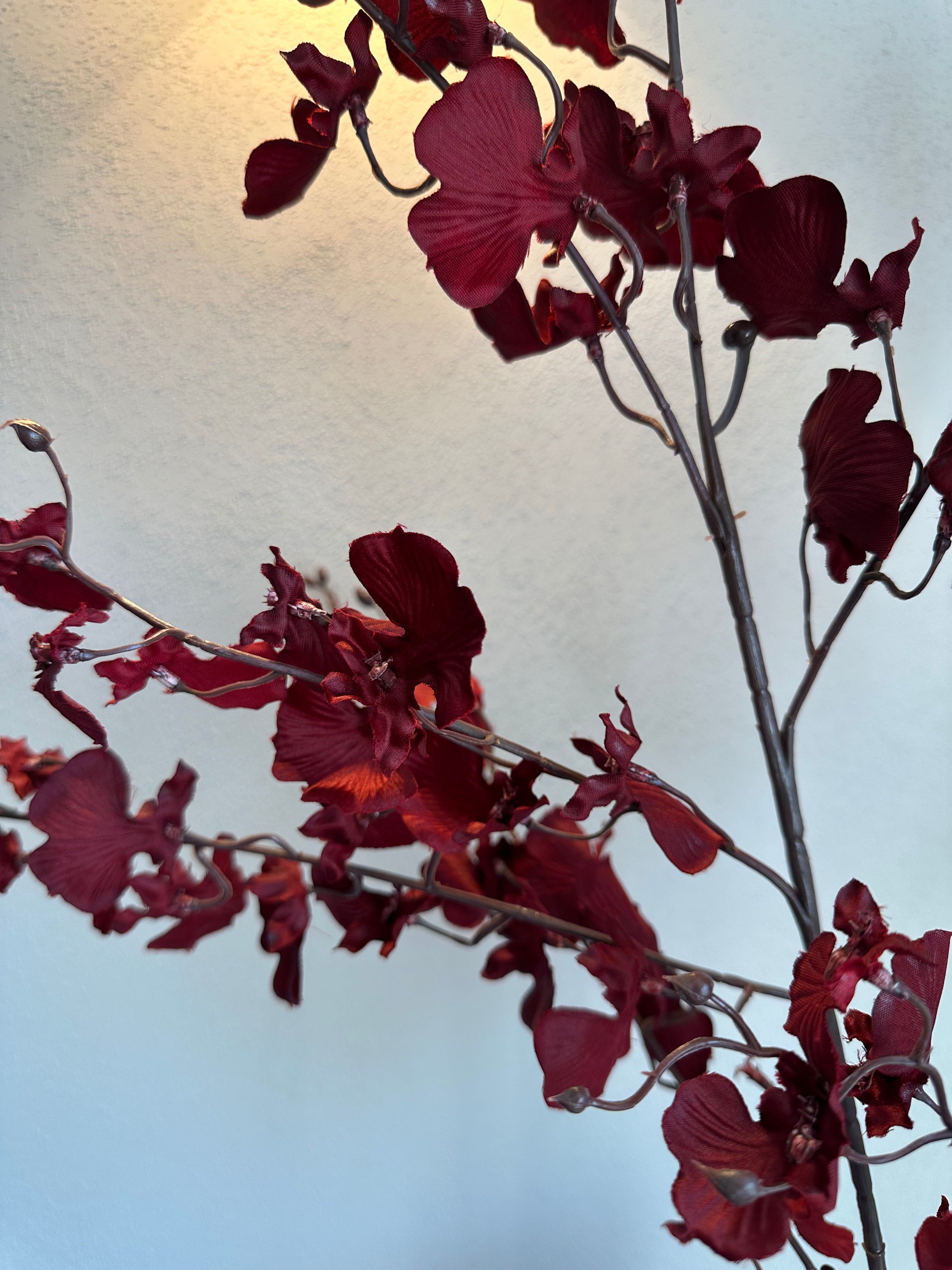 Rode bloemen tak