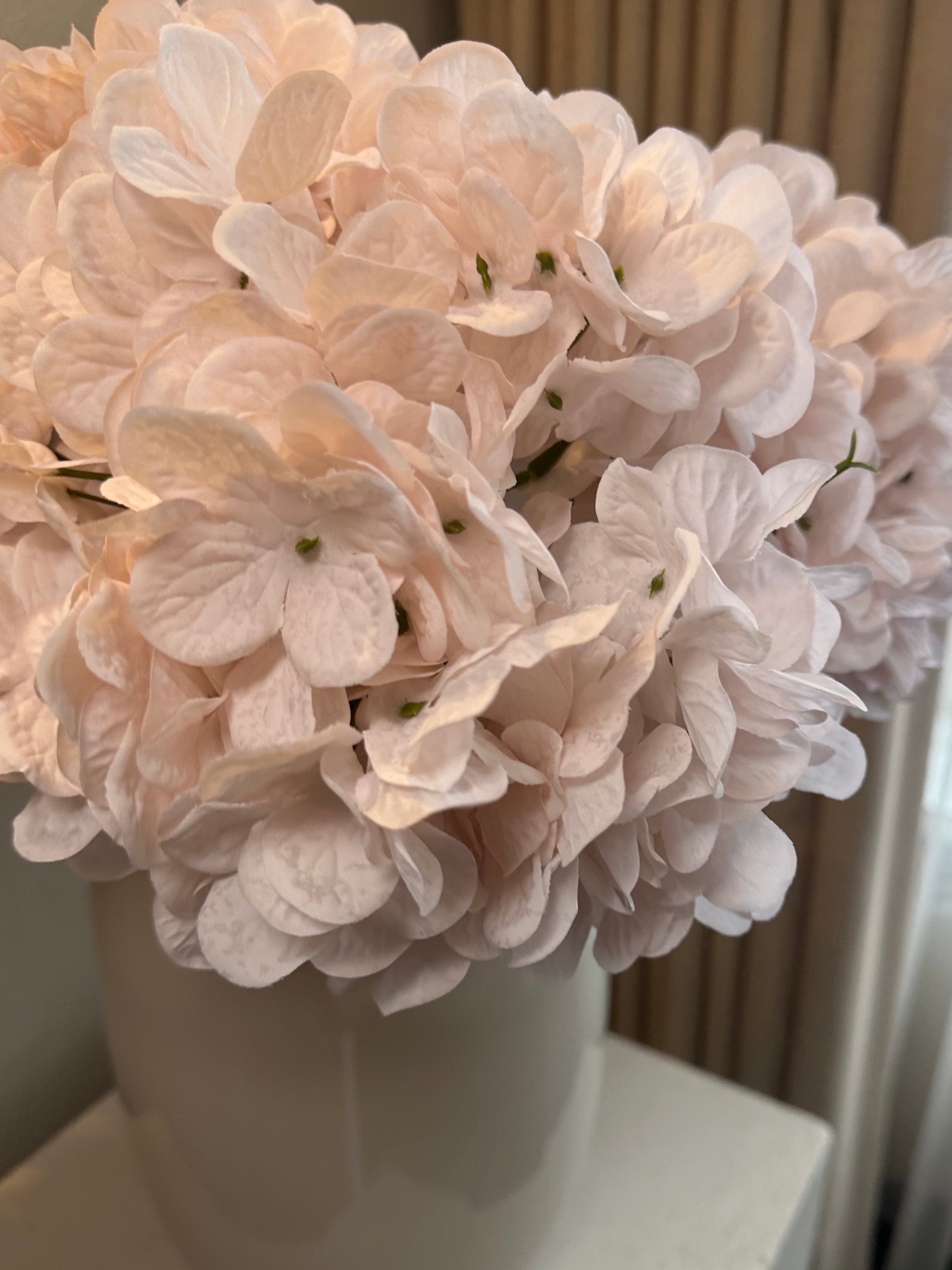 Blush Hortensia’s