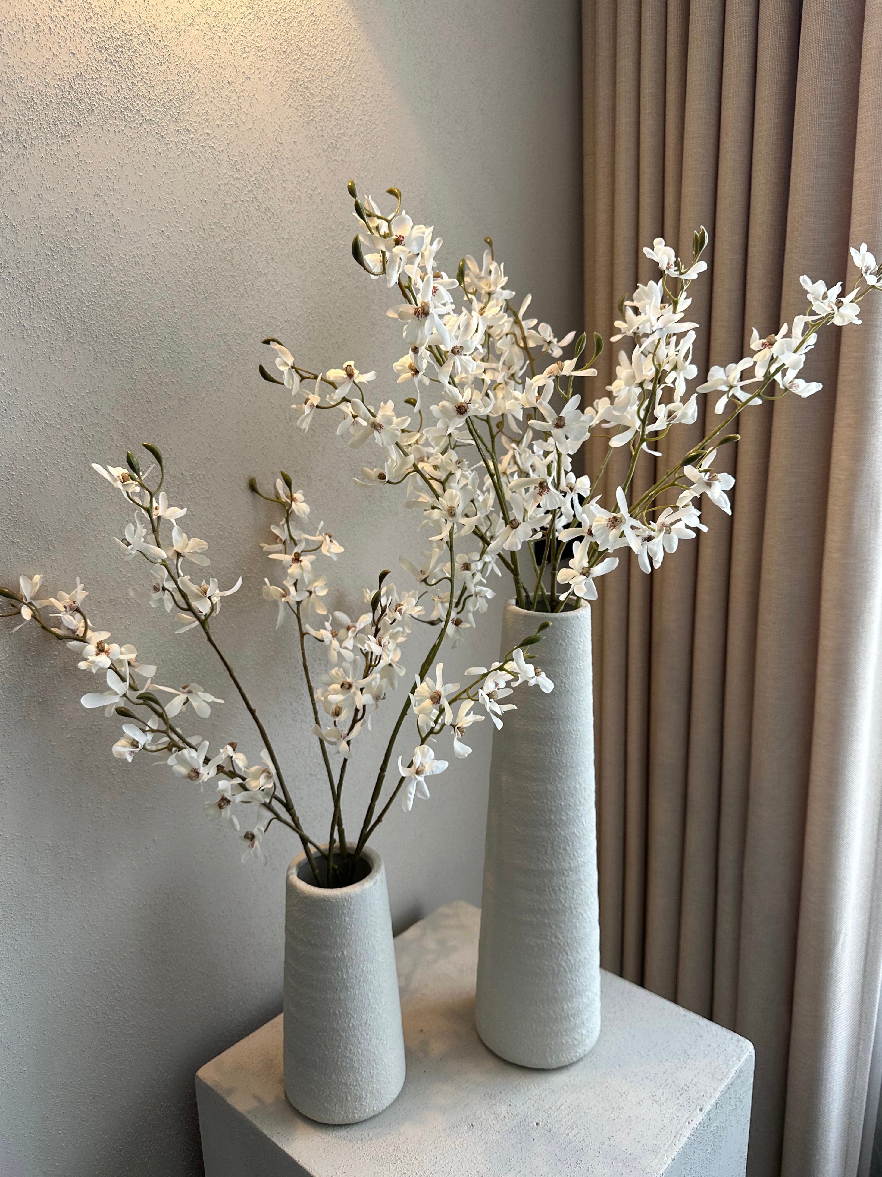 Vaas Blanca