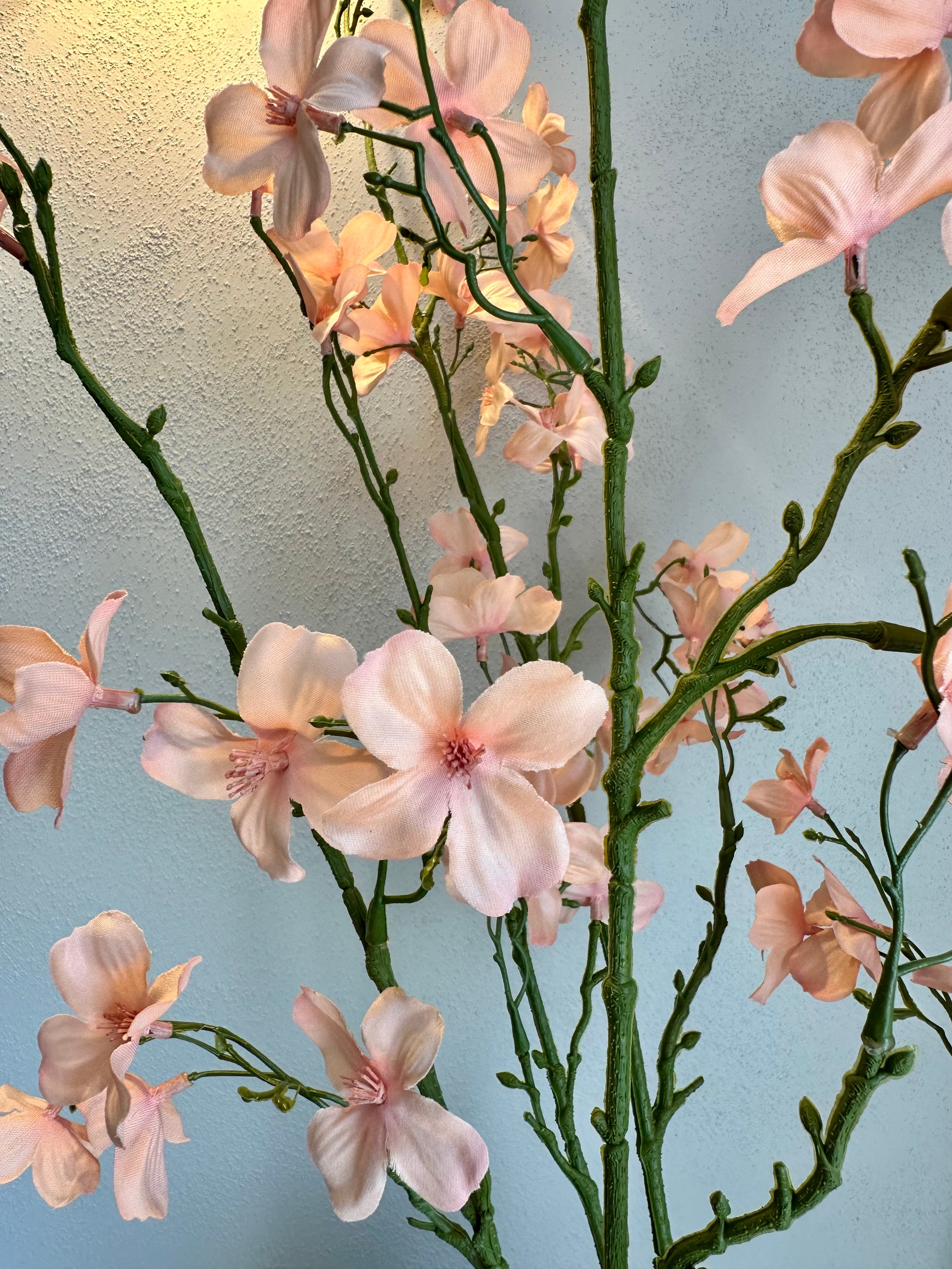 Peach Blossom Tak