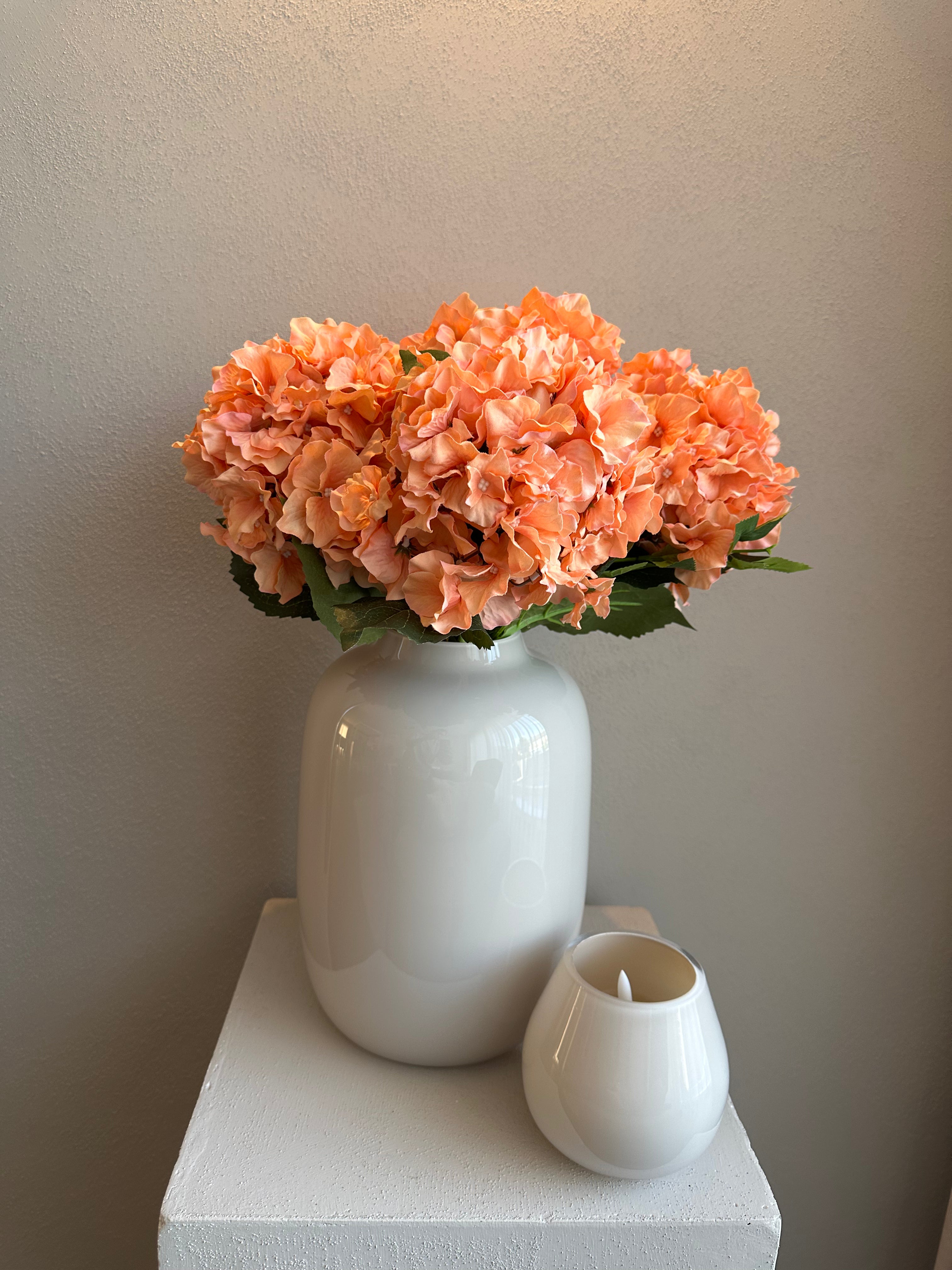Peach Hortensia’s