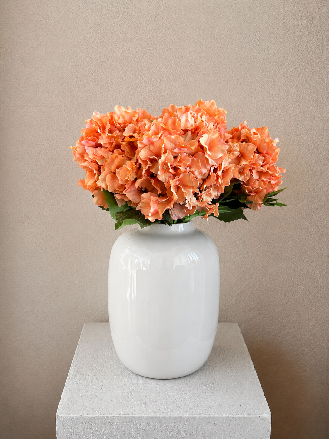 Peach Hortensia’s