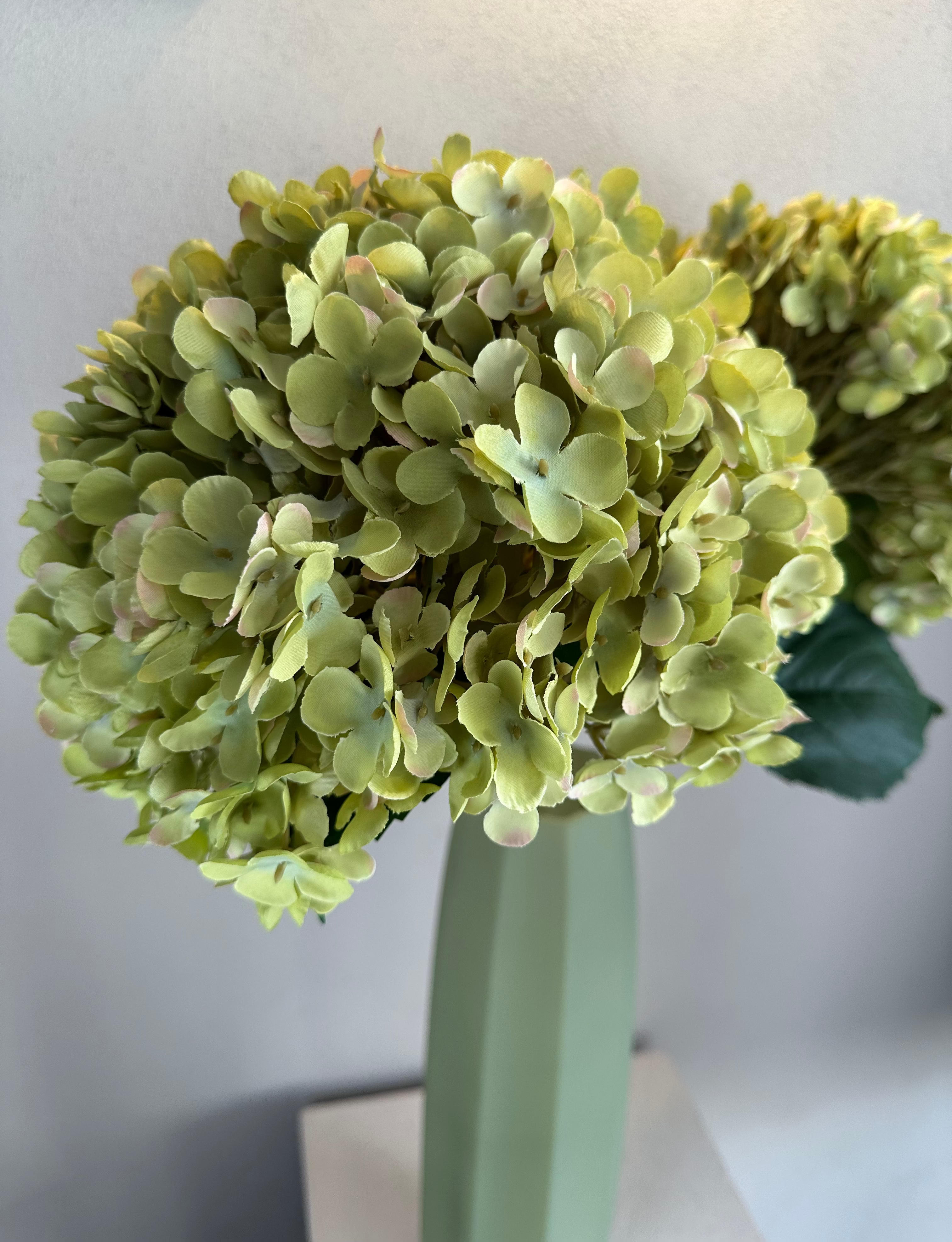 Groene Hortensia XL Tak